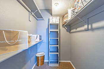 walk in closets in apartments